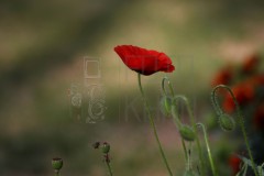 2024-08-09_10-14-04-scaled