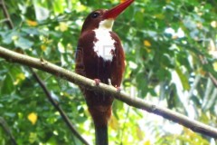 IMG_20240728_235024_156