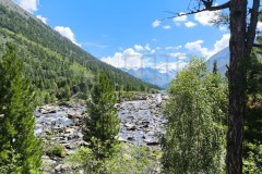 IMG_20240826_185311_243