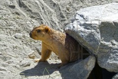 Leh_20140813_092447s