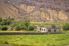 Leh_MG_1430s