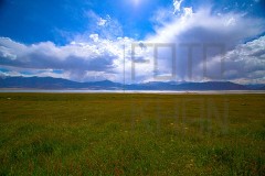 Leh_MG_1619s