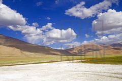 Leh_MG_1906s
