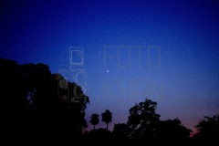 MG_4804