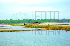 Srilanka_DU5A5402s