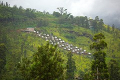 Srilanka_DU5A5957s