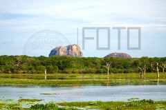 Srilanka_MG_4525s