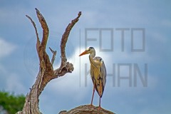 Srilanka_MG_4704s