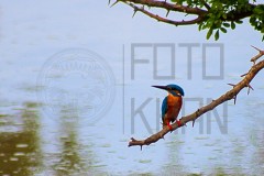 Srilanka_MG_4943s