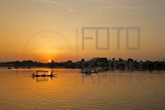Srinagar_MG_9629s