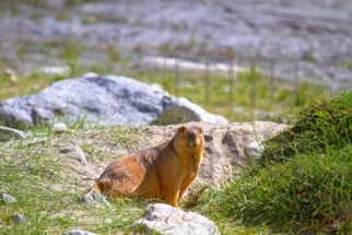 Leh_MG_1364s